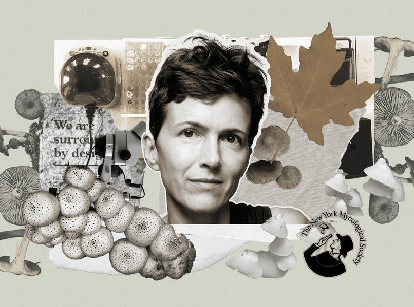 Collage of Sigrid Jakob, mycologist