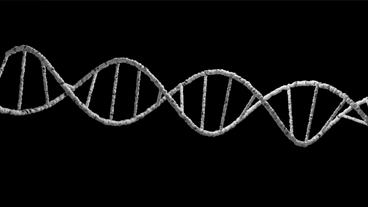 Animation of DNA strand dissolving